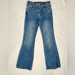 Anthropologie Pilcro High Waist Flare Button Fly Jeans